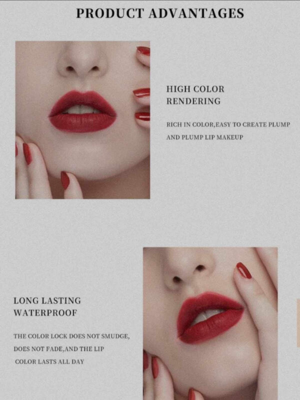 5 in 1 Pen Lipstick Matte Waterproof