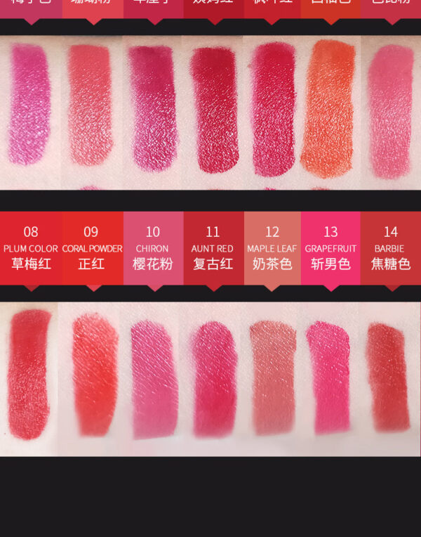 Miss Rose 15 Colors Matte Long Lasting Waterproof Nourishing Lip Cream Palette 20 - Gm