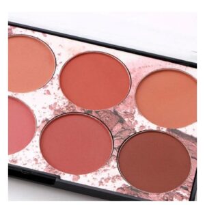 Buy Miss Rose 8 Colors Blush KIt For Women 28 - Gm in Pakistan