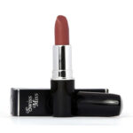 Swiss Miss Lipstick Twig Matte - 244