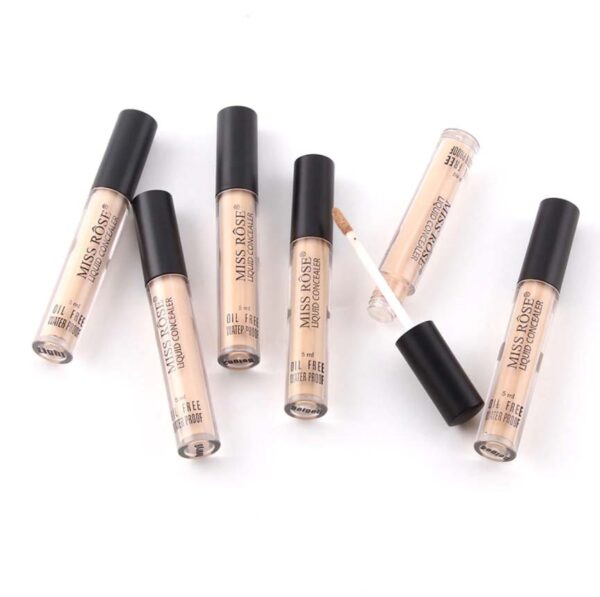 Miss Rose 5 In 1 Exclusive Deal Lipstick Liquid Foundation Concealer Eye Liner Blender