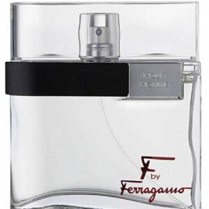 Salvatore Ferragamo F Silver Men EDT - 100ml