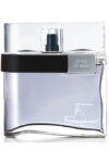 Salvatore Ferragamo F Silver Men EDT - 100ml