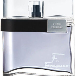 Buy Salvatore Ferragamo F Silver Men EDT - 100ml in Pakistan