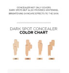 Moonshot Dark Spot Face Concealer 201 Ivory