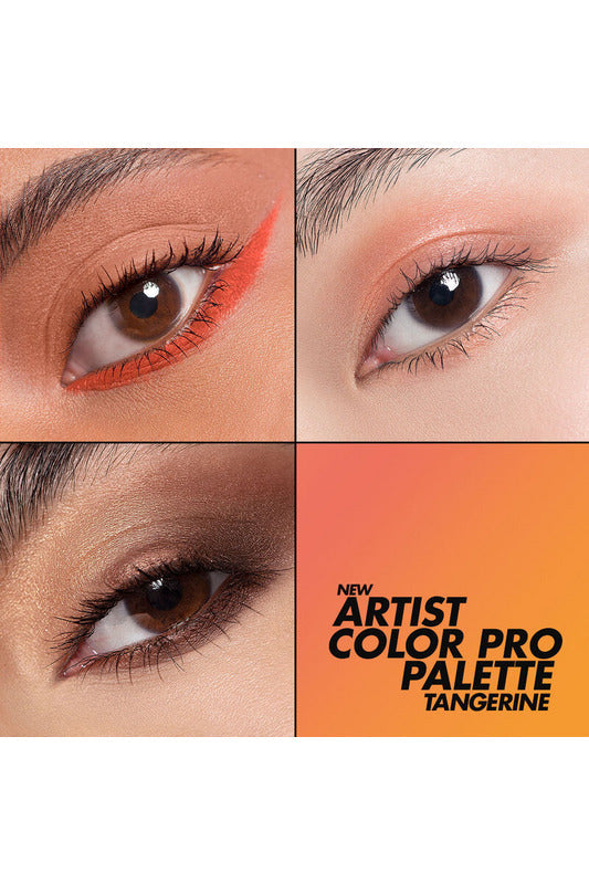 Make Up For Ever Artist Color Pro Palette for Eyes & Face