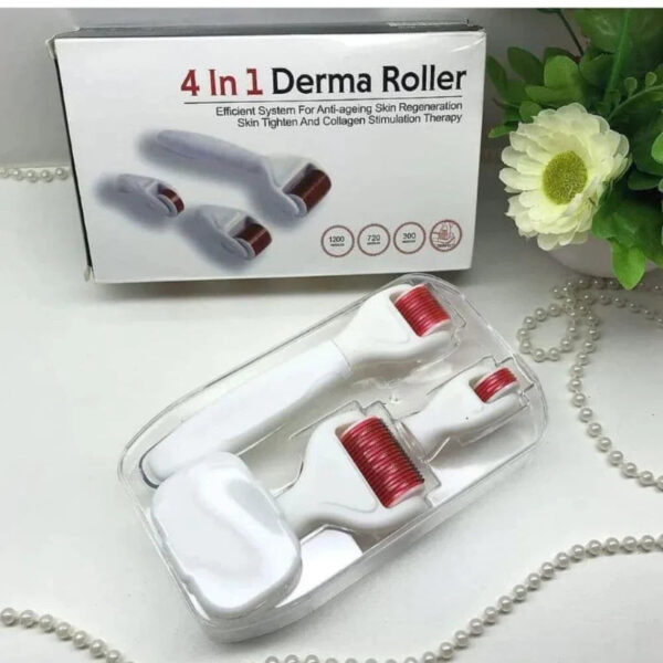 Derma Roller 4 in 1 Skin Care Set