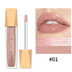 Miss Rose Pack Of 4 Lip Gloss Velvet Matte Glaze