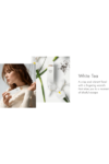 Elizabeth Arden White Tea EDT - 100ml