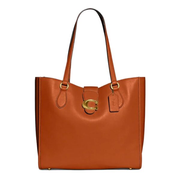 Coach Theo Tote Bag Large