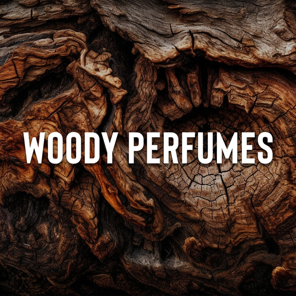 woody fragrances - perfume