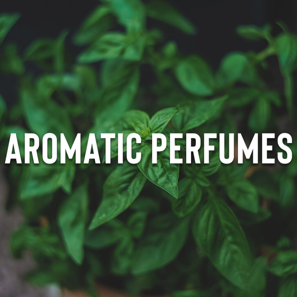 aromatic fragrances - kings perfume