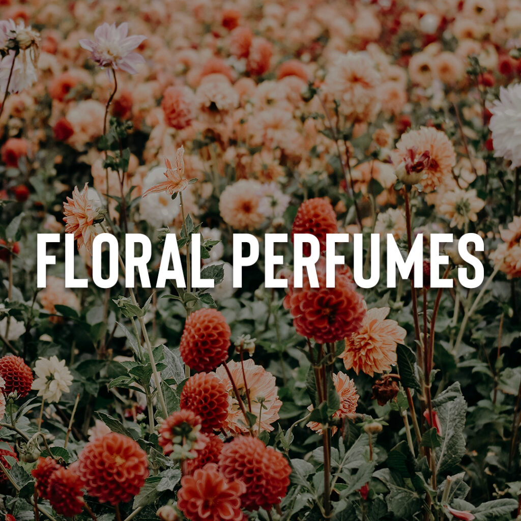 floral fragrances - kings perfumes